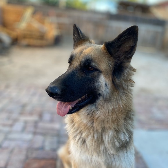 daiiisy_08